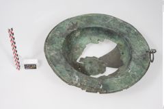 Foto von Bronzebreitrandschale (NHMW-PRAE-024520)